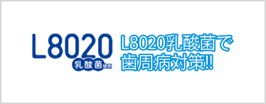 L8020乳酸菌