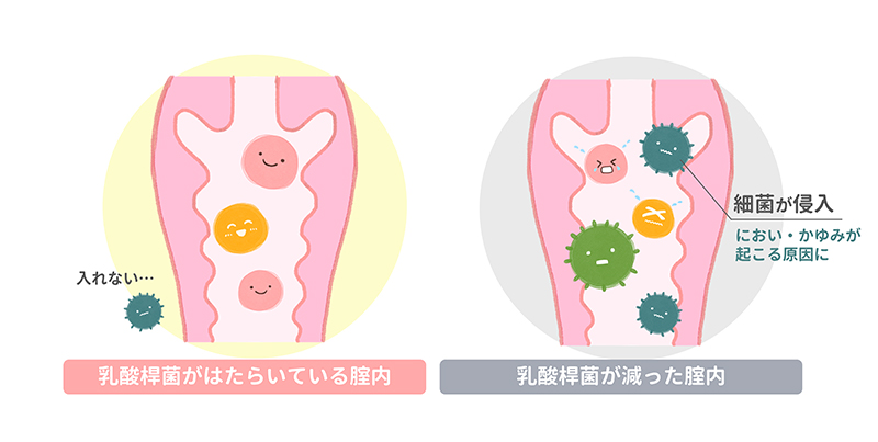 エストロゲンが低下すると・・・?