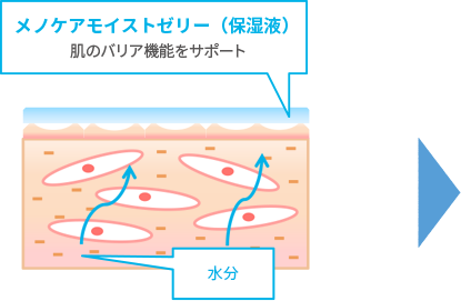 健康な肌