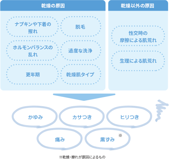 乾燥の原因：ナプキンや下着の擦れ、脱毛、ホルモンバランスの乱れ、過度な洗浄、更年期、乾燥肌タイプ 乾燥以外の原因：性交時の摩擦による肌荒れ、生理による肌荒れ