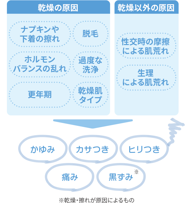 乾燥の原因：ナプキンや下着の擦れ、脱毛、ホルモンバランスの乱れ、過度な洗浄、更年期、乾燥肌タイプ 乾燥以外の原因：性交時の摩擦による肌荒れ、生理による肌荒れ