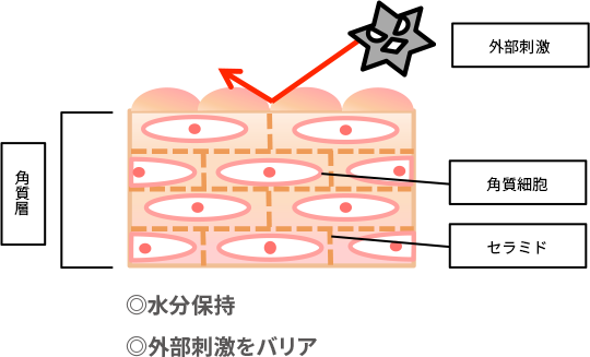 水分保持