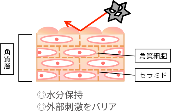 水分保持