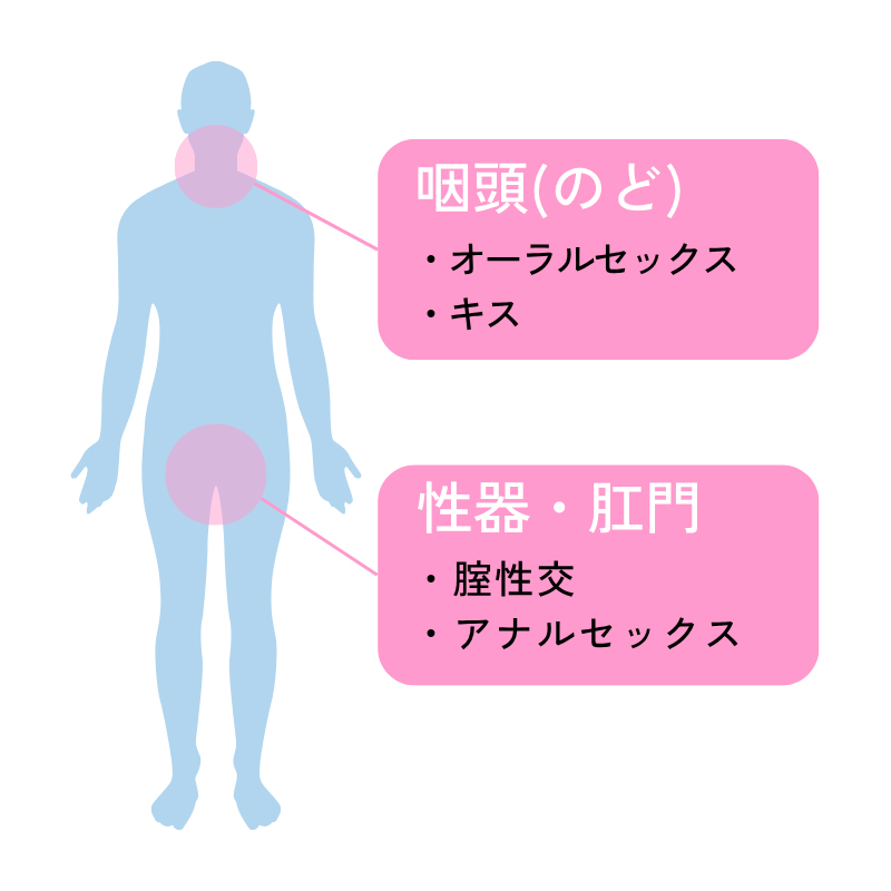 感染経路