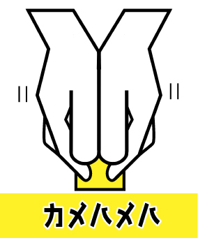 カメハメハ